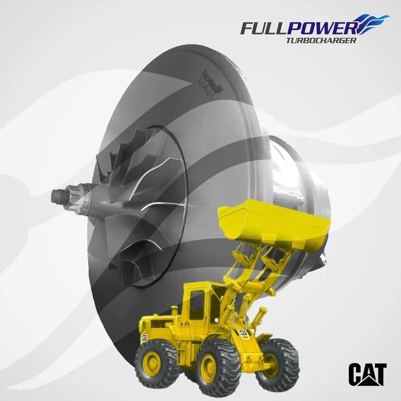 3LM 319 CAT